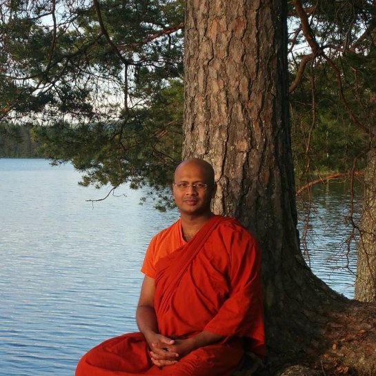 Enskild healing meditation med Bhante Satimanta (90 minuter)